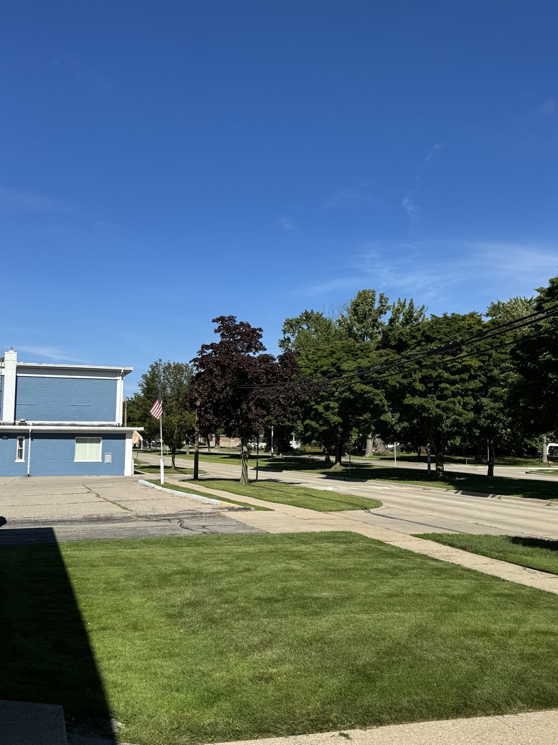 Professional lawn work in service area